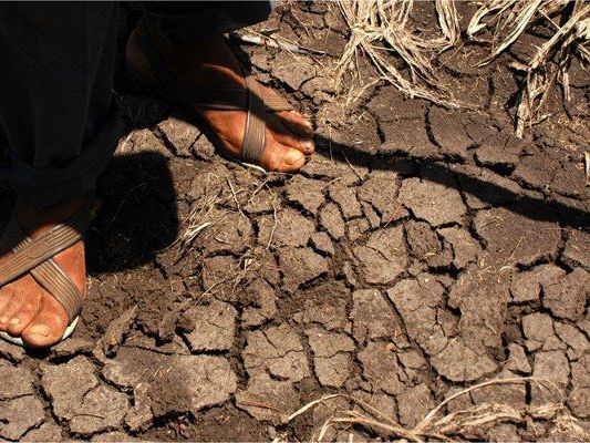 Wochenlange Trockenheit in Guatemala (Symbolbild) Wochenlange Trockenheit in Guatemala (Symbolbild)