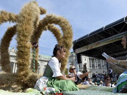 Am 6. und 7. September wird heuer Erntedank gefeiert. Am 6. und 7. September wird heuer Erntedank gefeiert.