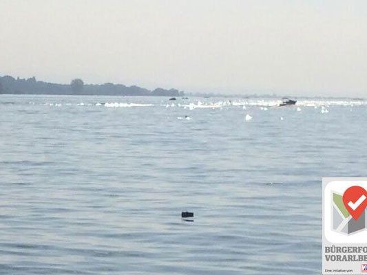 Die Schwimmer der Fischernetze sind für unwissende Badegäste als solche nur schwer zu erkennen. Die Schwimmer der Fischernetze sind für unwissende Badegäste als solche nur schwer zu erkennen.