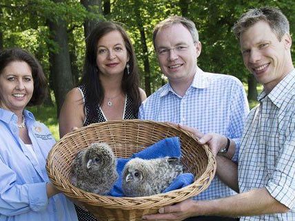 Diese Habichtskäuze werden in die Freiheit entlassen. Diese Habichtskäuze werden in die Freiheit entlassen.