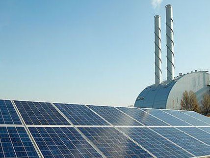 Das Solarkraftwerk im 23. Bezirk bietet vielen Tierarten einen Lebensraum. Das Solarkraftwerk im 23. Bezirk bietet vielen Tierarten einen Lebensraum.