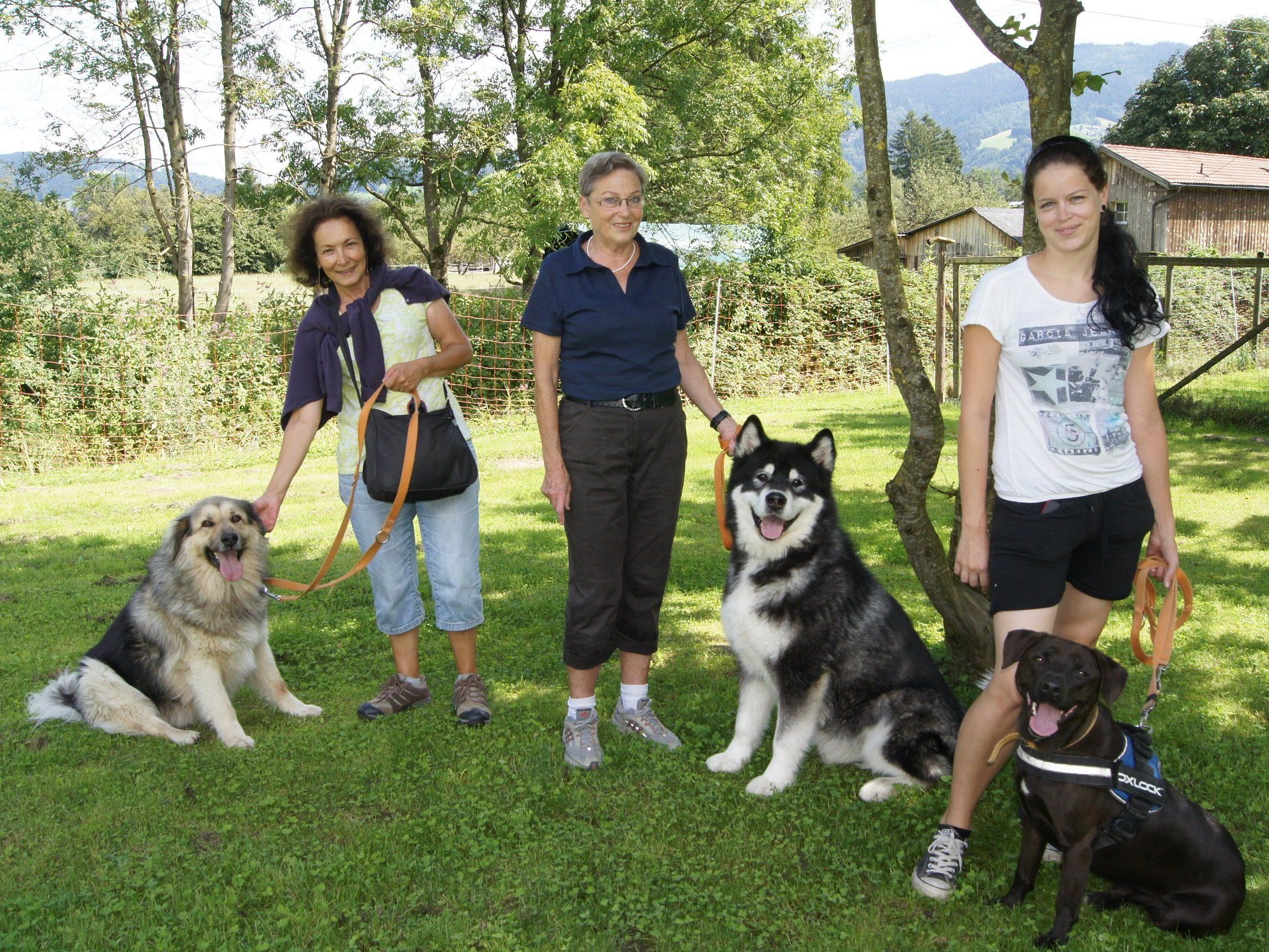 Christine, Vera und Maria gehen regelmäßig mit den Hunden vom Vbg. Tierschutzheim in den Ausgang.