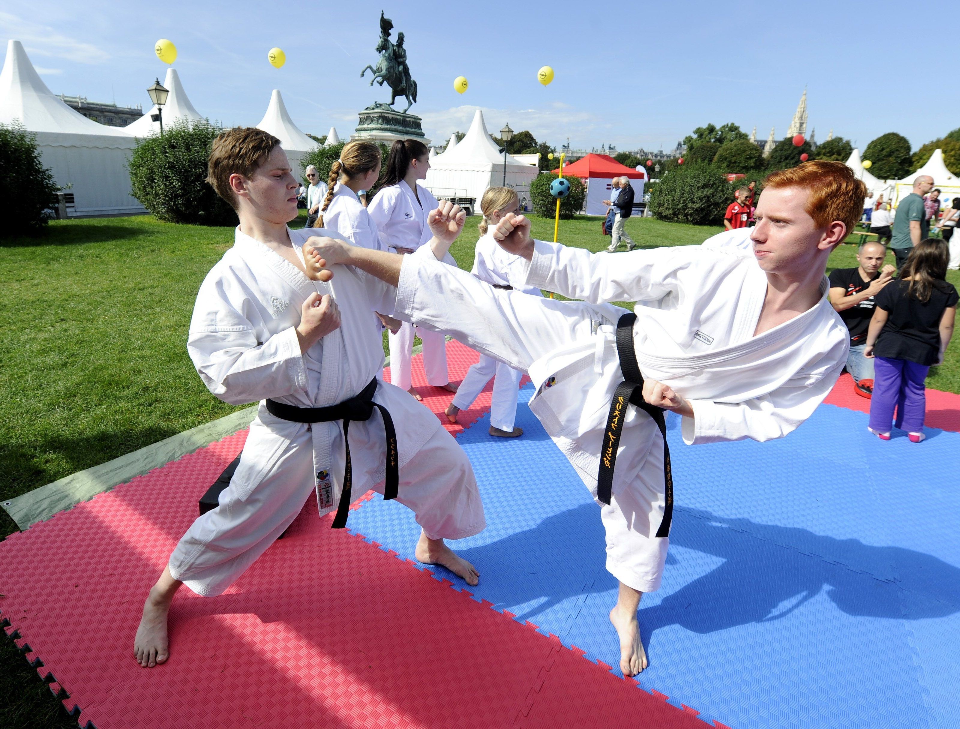 Der Wiener Heldenplatz stand im Zeichen des Sports Der Wiener Heldenplatz stand im Zeichen des Sports
