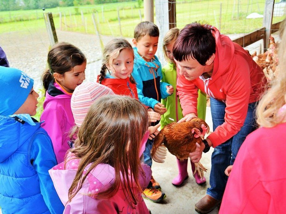 Christa Natter vom Christahof erklärte uns allerlei von Huhn und Ei – auch das Streicheln war dabei! Christa Natter vom Christahof erklärte uns allerlei von Huhn und Ei – auch das Streicheln war dabei!
