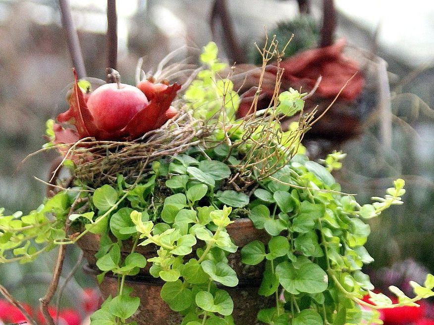 Werkausstellung "kab&kreativ" Werkausstellung "kab&kreativ"