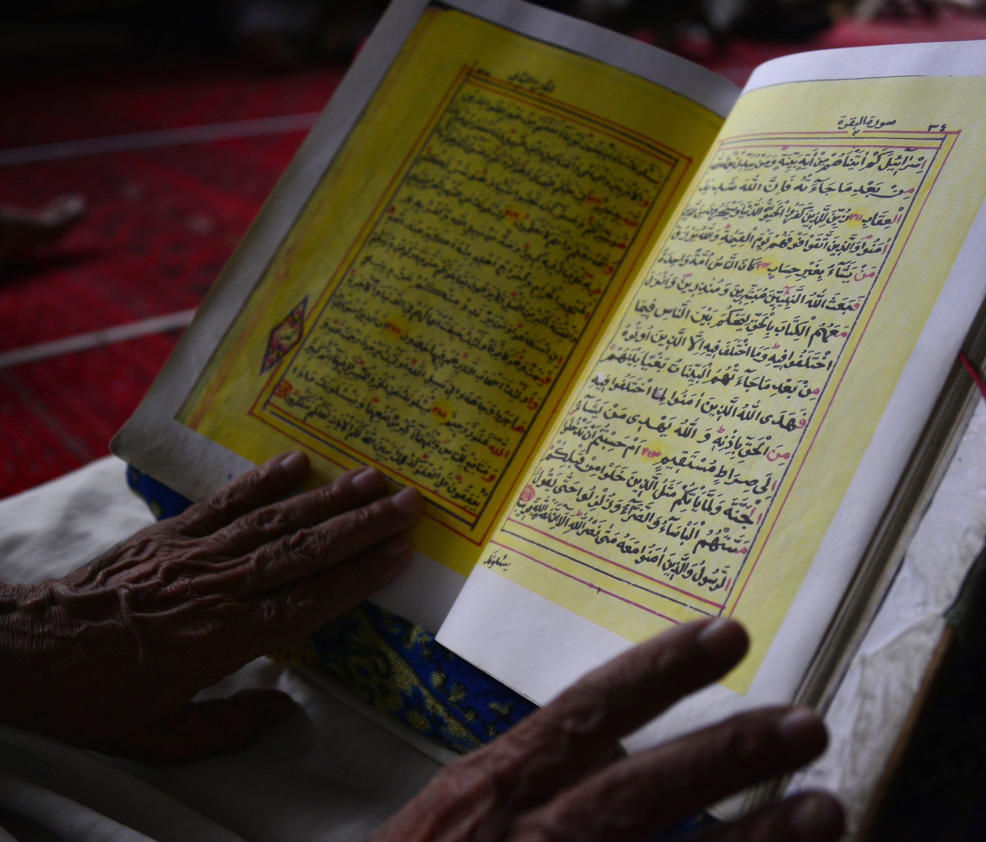 Kurz will einheitliche Koran-Übersetzung - IGGiÖ reagiert verhalten. Kurz will einheitliche Koran-Übersetzung - IGGiÖ reagiert verhalten.