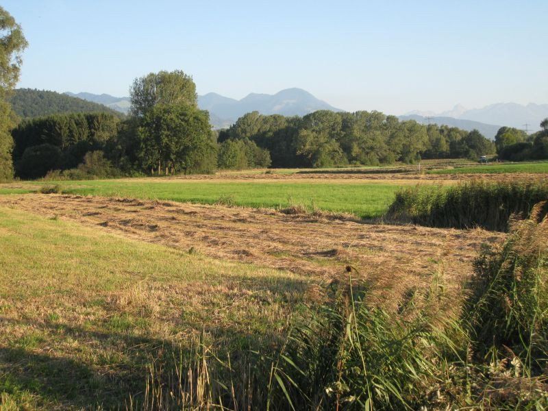 Streue-Ernte September 2014 Streue-Ernte September 2014