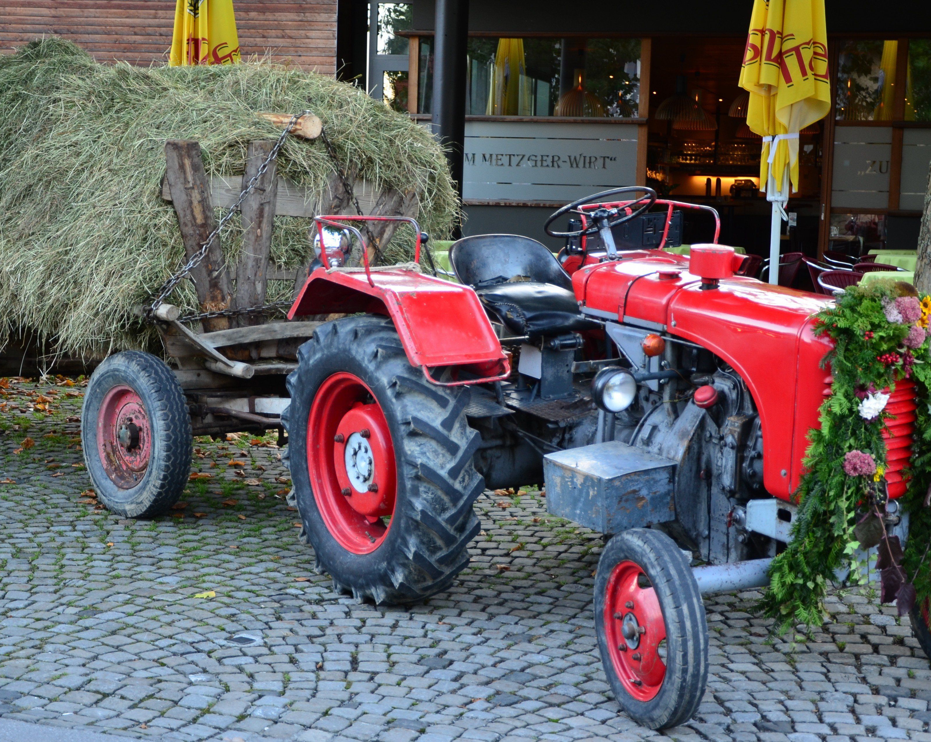 a körigs Höfudar a körigs Höfudar