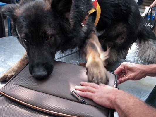 Sprengstoffkoffer am Flughafen vergessen Sprengstoffkoffer am Flughafen vergessen