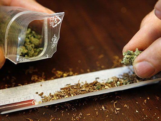 Ein Wiener erzeugte eine größere Menge Cannabis zum Verkauf
