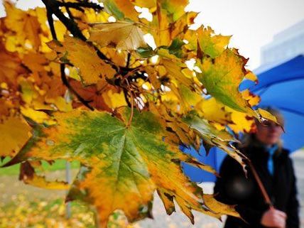 Wetterberuhigung nach Schneechaos - Es bleibt aber kühler Wetterberuhigung nach Schneechaos - Es bleibt aber kühler