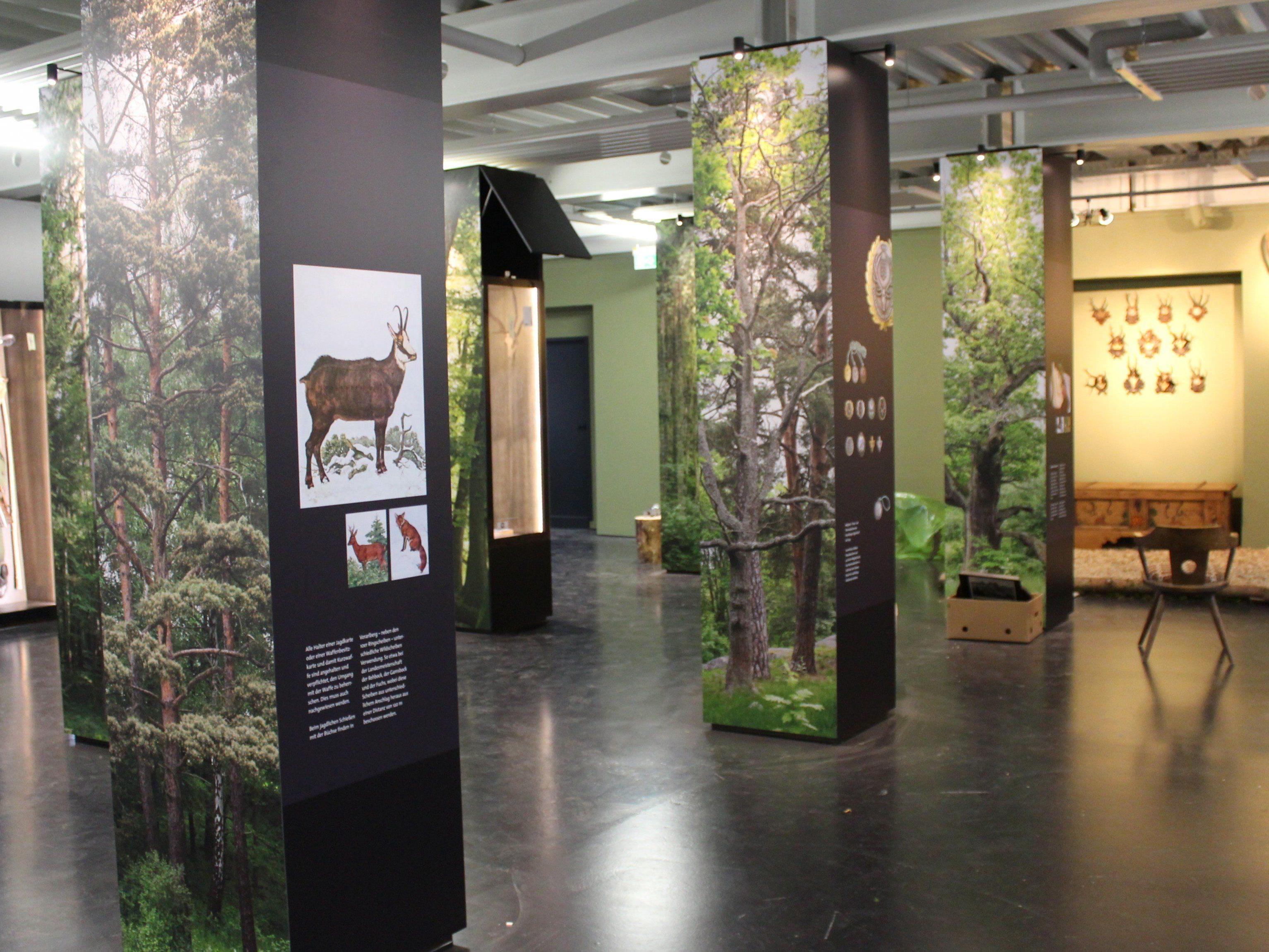 Neues Jagdmuseum in der Vorarlberger Museumswelt