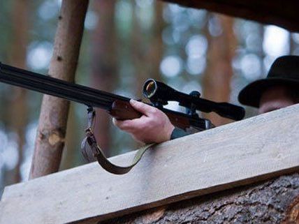 Treibt ein Wilderer im Piestingtal sein Unwesen? Treibt ein Wilderer im Piestingtal sein Unwesen?