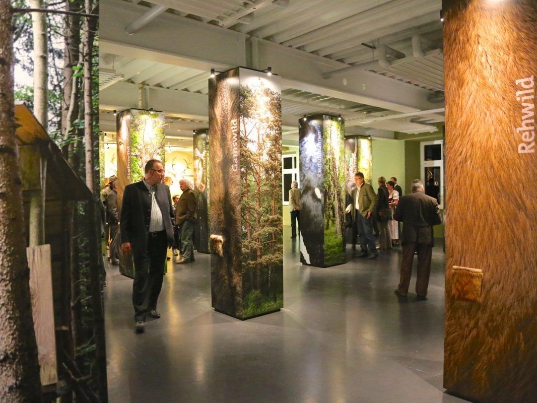 Im neuen Jagdmuseum werden auf 300 m2 neben einem Einblick in den Artenreichtum der Wildtiere und der Jagdgeschichte auch Informationen zu aktuellen Themen präsentiert.