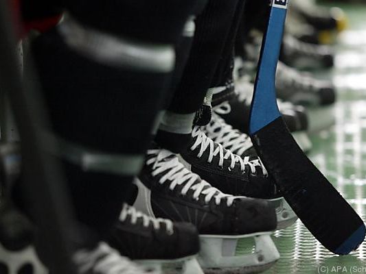 Verdienter Erfolg für das ÖEHV-Team Verdienter Erfolg für das ÖEHV-Team