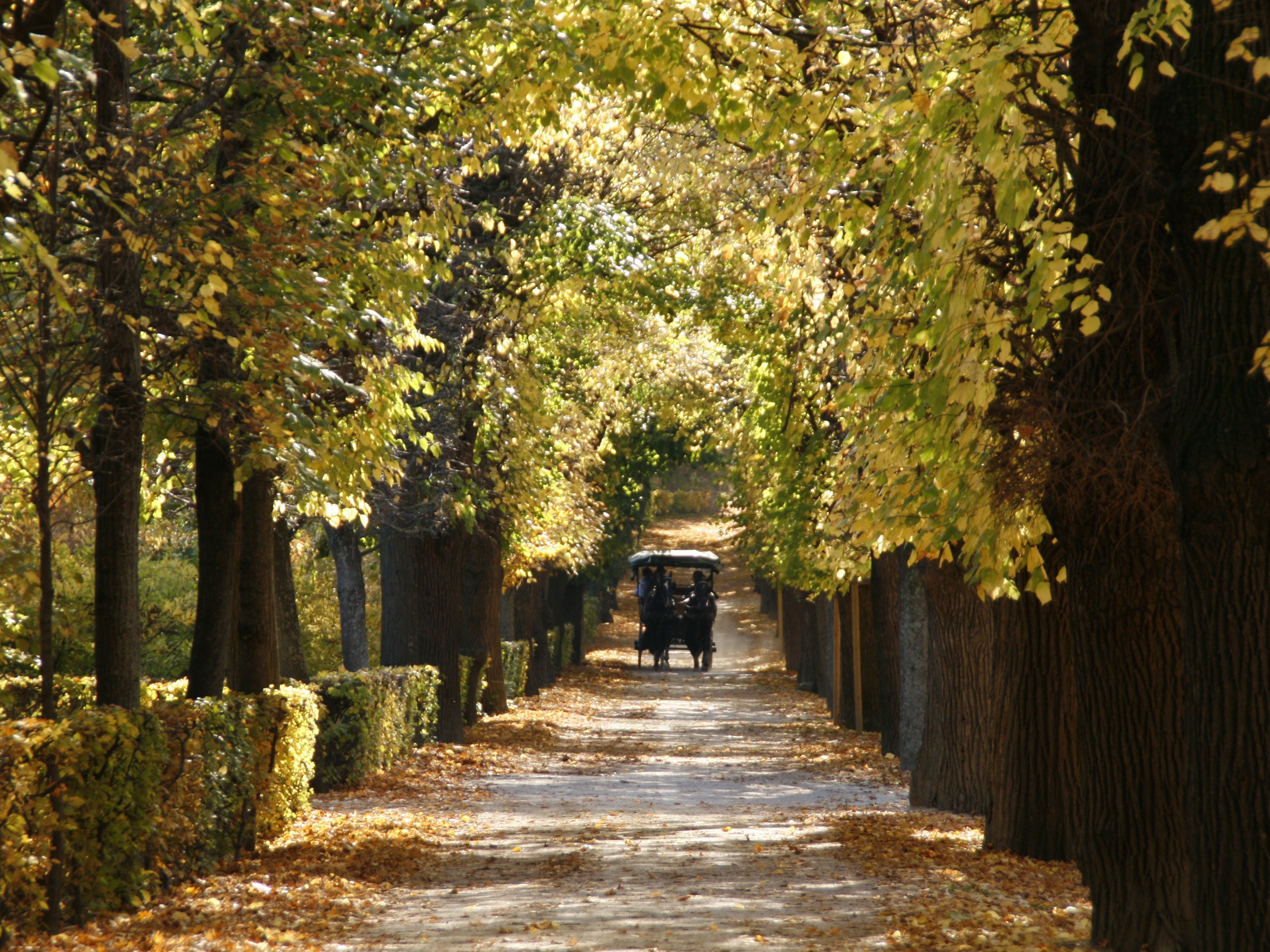 Mehr Grünflächen: Ein neues Konzert wurde entwickelt. Mehr Grünflächen: Ein neues Konzert wurde entwickelt.