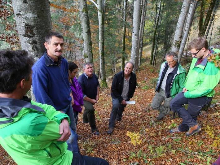 egehung im herbstlichen Masonerwald: Behördenvertreter und Waldbesitzer sind zufrieden.