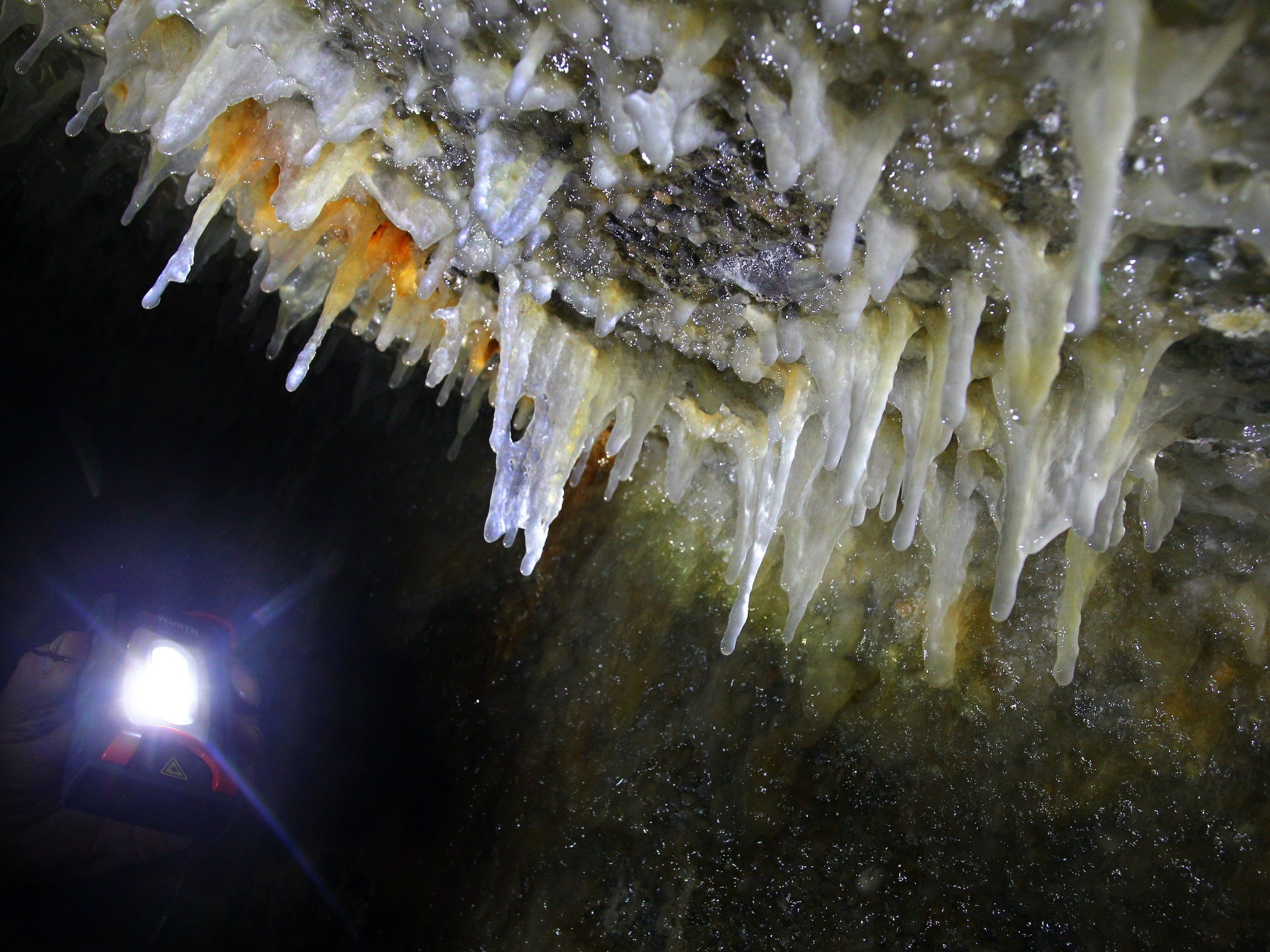 Sehr seltene Naturerscheinung. Sehr seltene Naturerscheinung.