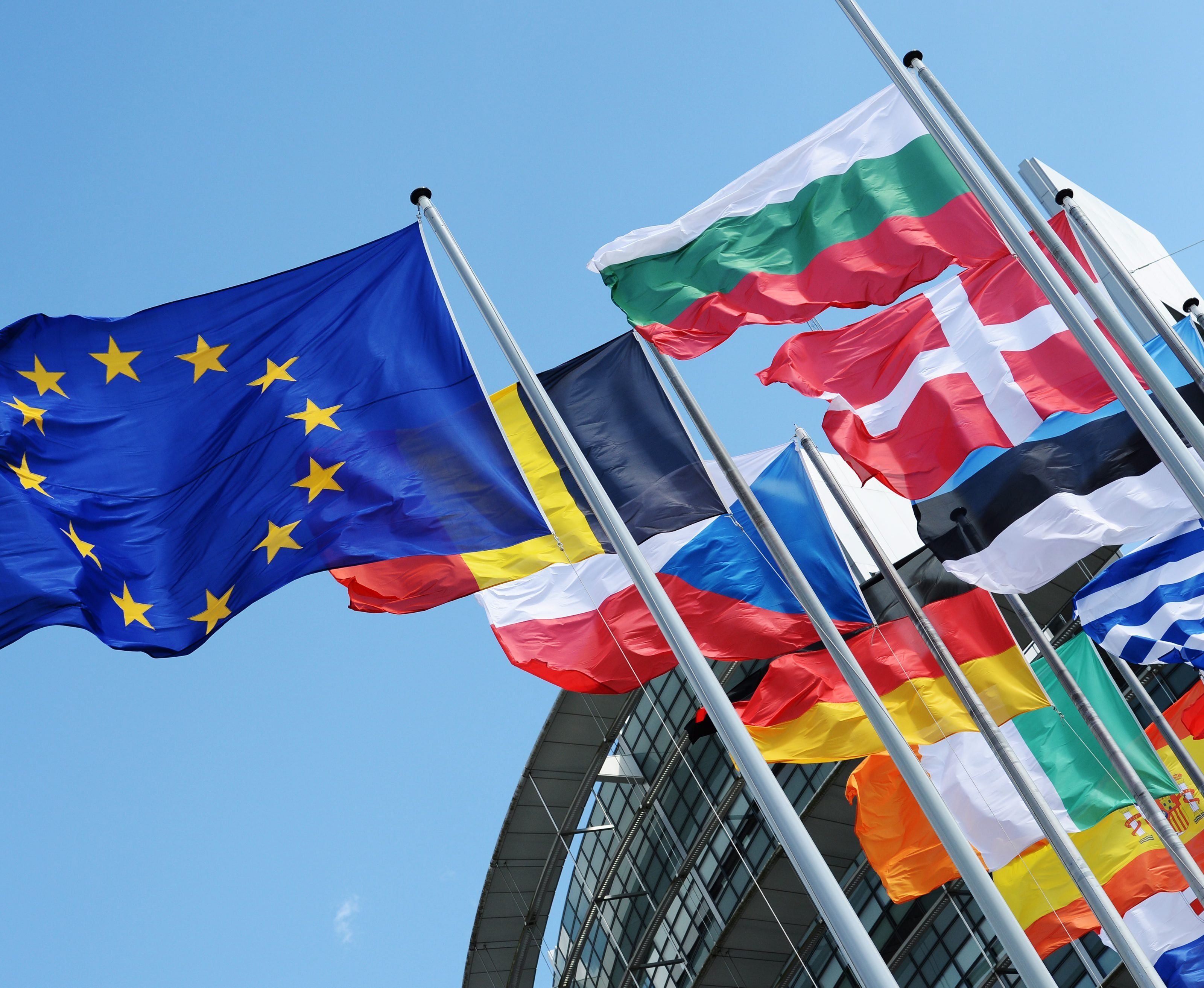 Während bei den Einnahmen im EU-Budget kein Fehler festgestellt wurde, stellten die EU-Rechnungsprüfer für die Ausgaben entsprechende Unregelmäßigkeiten fest. Während bei den Einnahmen im EU-Budget kein Fehler festgestellt wurde, stellten die EU-Rechnungsprüfer für die Ausgaben entsprechende Unregelmäßigkeiten fest.