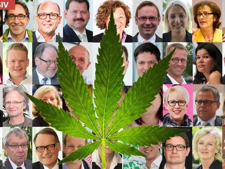 Cannabis-Legalisierung? Wie stehen die Landtagsabgeordneten dazu.