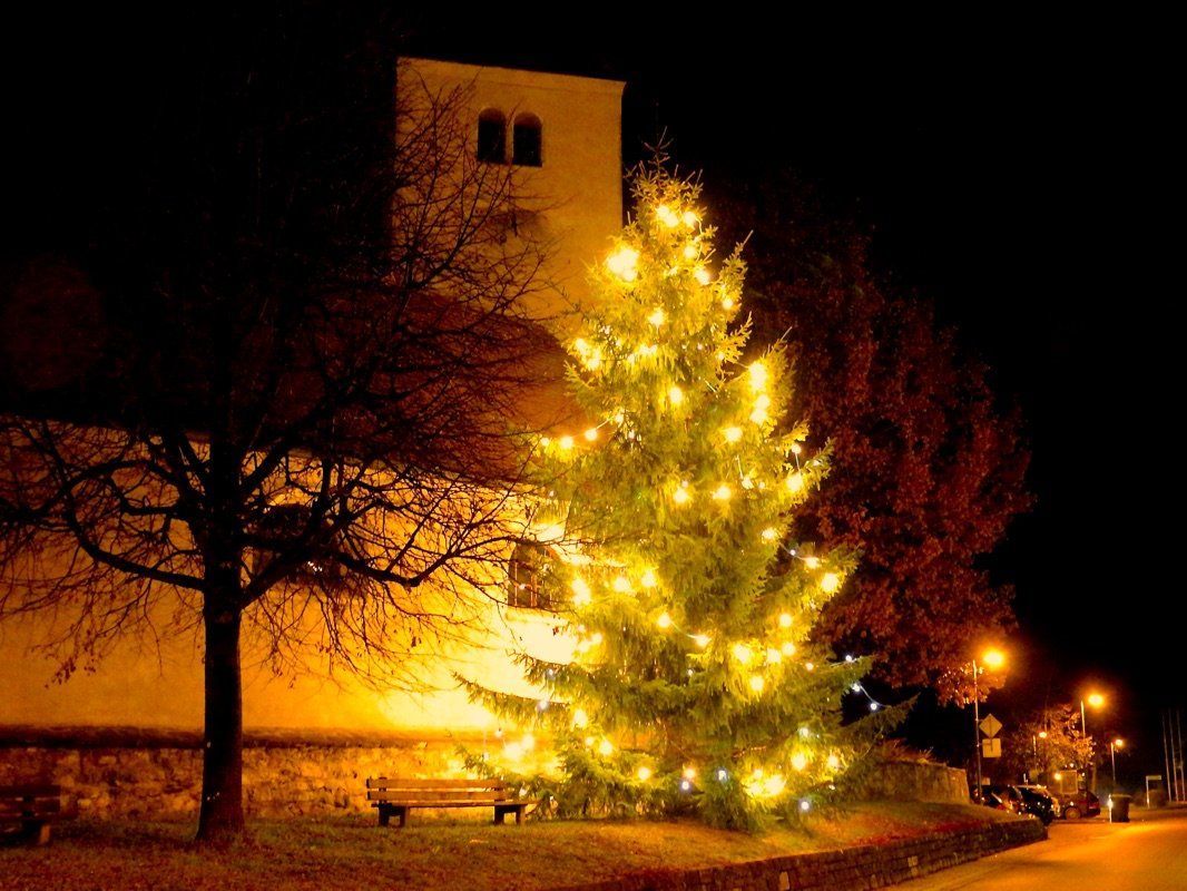 Auch der heurige Weihnachtsbaum stammt natürlich aus dem Göfner Wald. Auch der heurige Weihnachtsbaum stammt natürlich aus dem Göfner Wald.