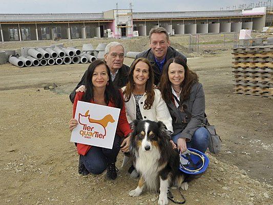 Wiener "TierQuartier": Hunde und Katzen ziehen im Februar ein Wiener "TierQuartier": Hunde und Katzen ziehen im Februar ein