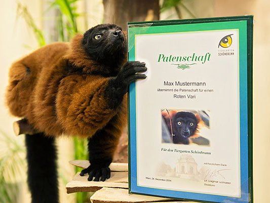 Unter anderem suchen die Roten Varis noch Paten Unter anderem suchen die Roten Varis noch Paten