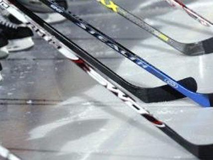 Eishockey: Österreichs NHL-Trio feierte Siege - Raffl traf Eishockey: Österreichs NHL-Trio feierte Siege - Raffl traf