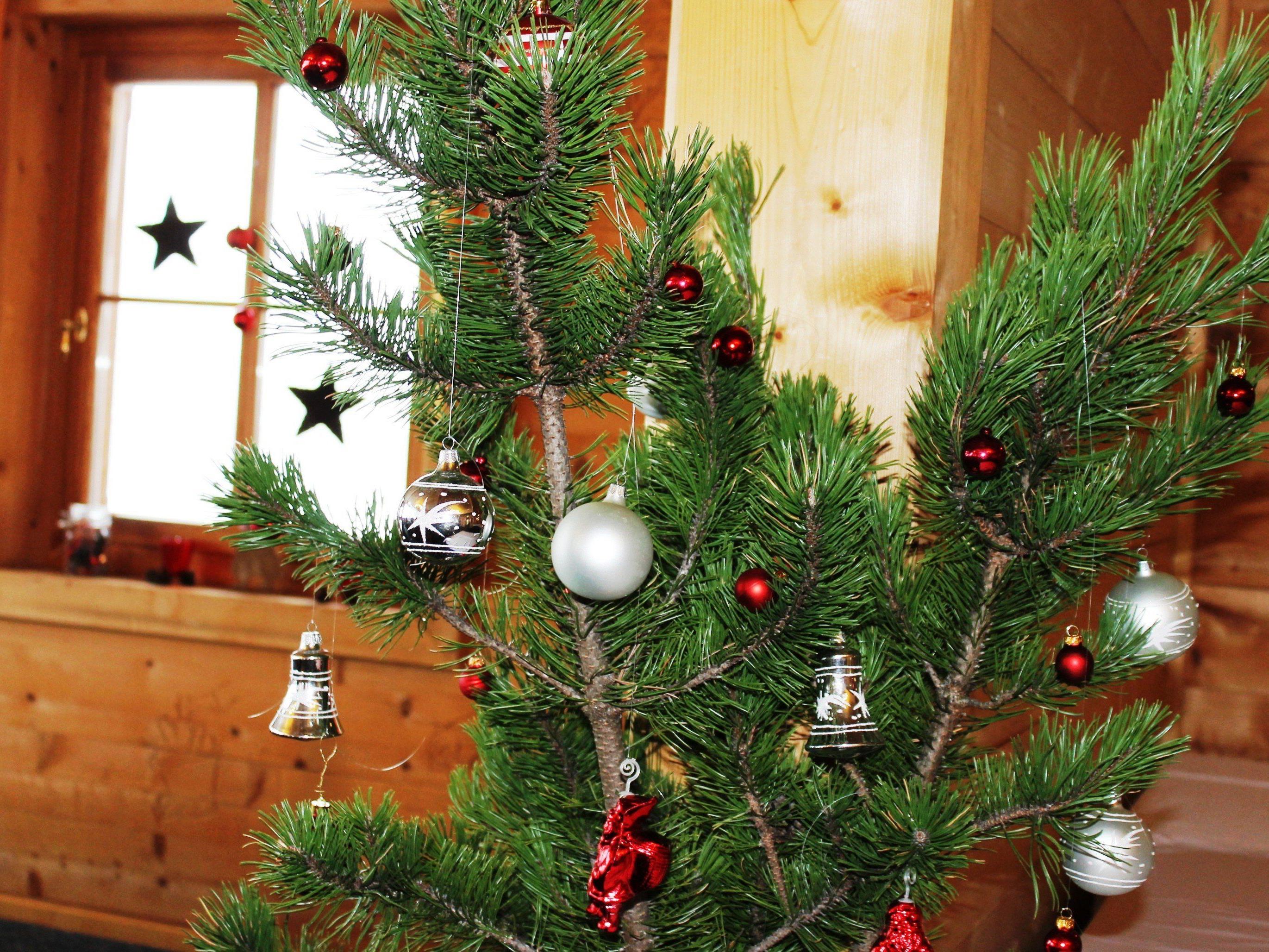 Eine schöne Weihnachtgszeit wünscht das Muttersberg-Team und freut sich auf ein Wiedersehen ab 26. Dezember