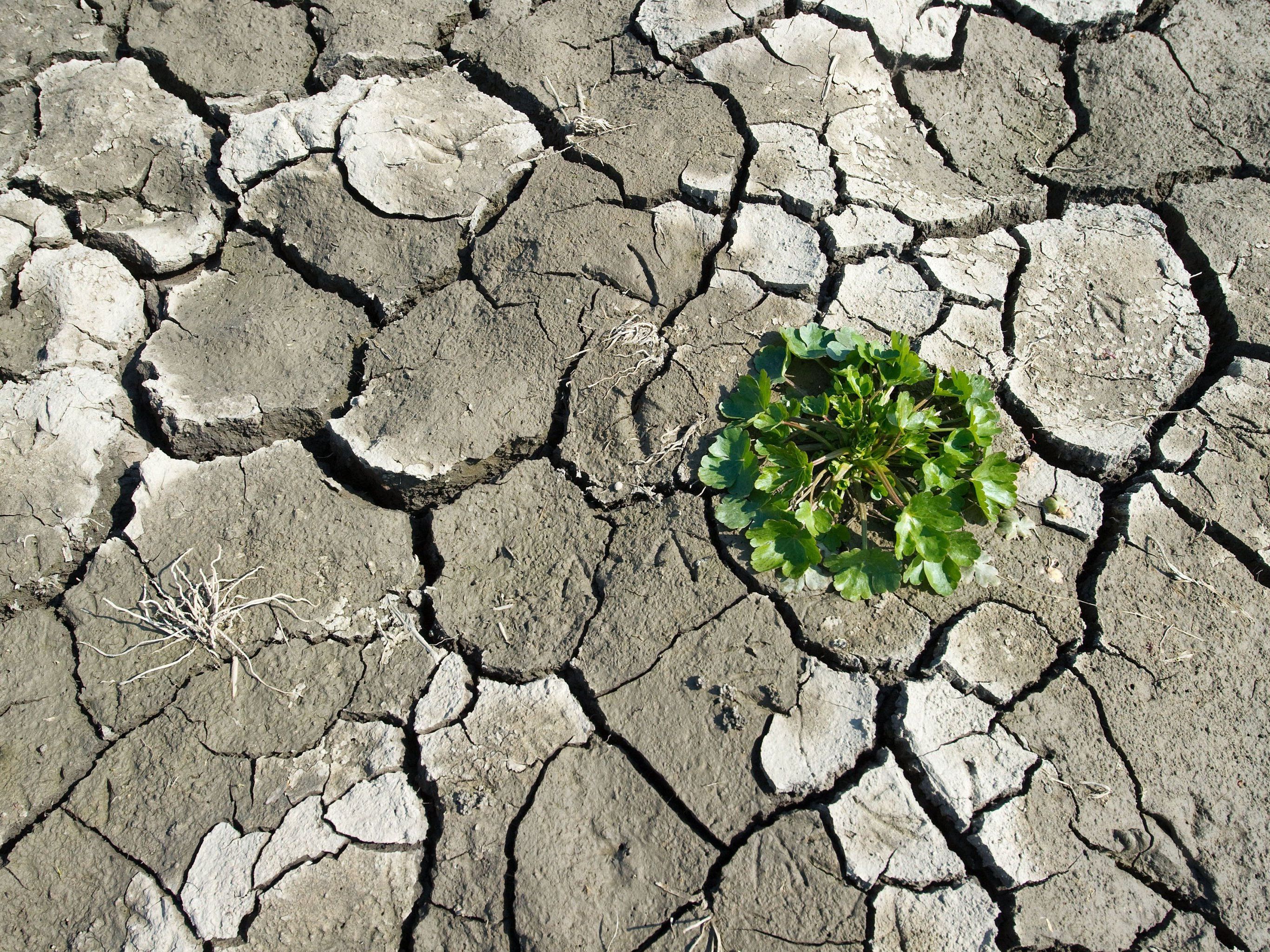 UN-Klimafonds soll ärmere Länder im Kampf gegen Erderwärmung unterstützen. UN-Klimafonds soll ärmere Länder im Kampf gegen Erderwärmung unterstützen.