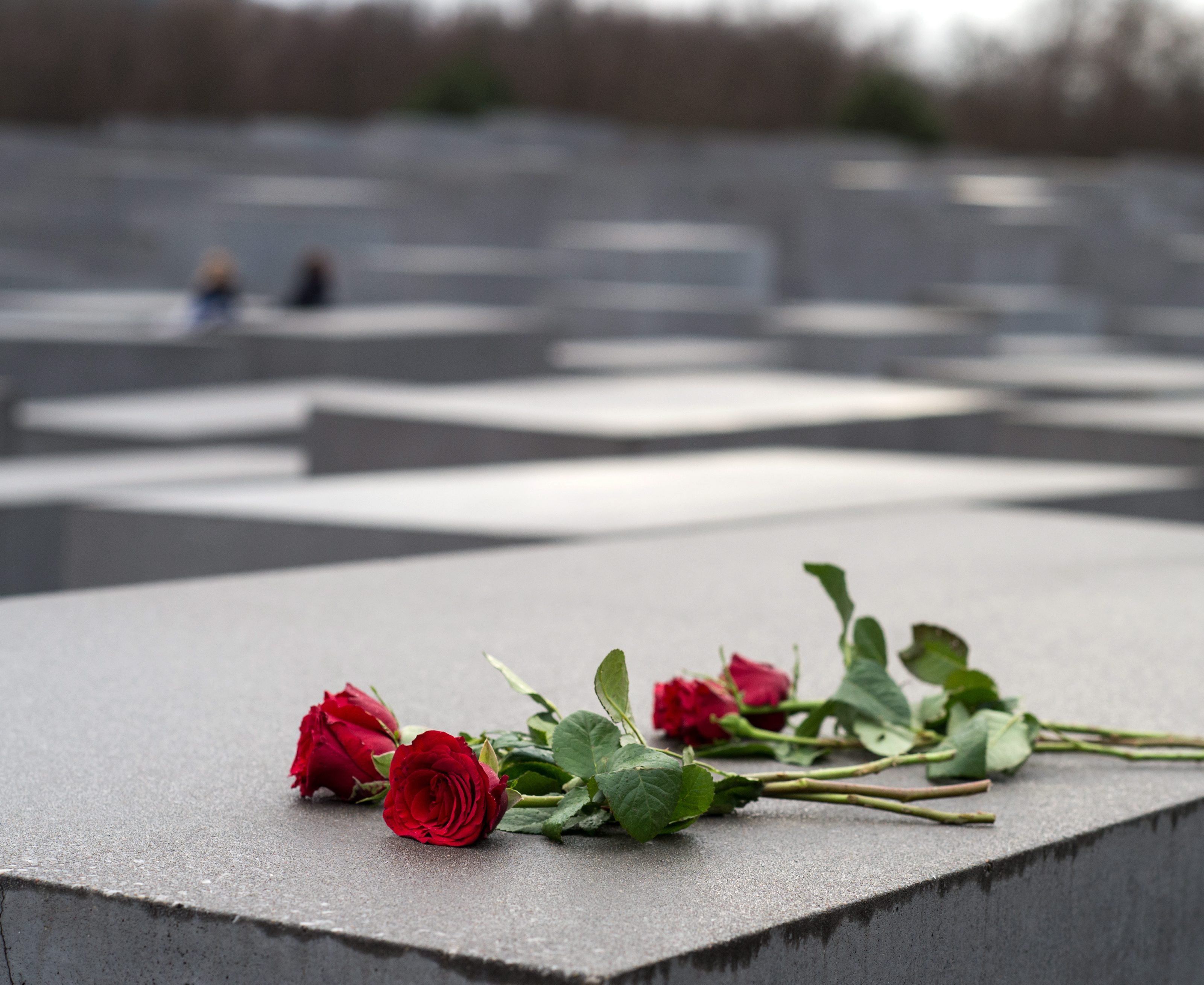 70 Jahre Befreiung von Auschwitz 70 Jahre Befreiung von Auschwitz