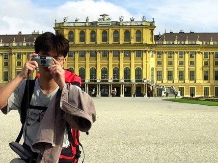 2014 war ein gutes Jahr für das Schloss Schönbrunn. 2014 war ein gutes Jahr für das Schloss Schönbrunn.