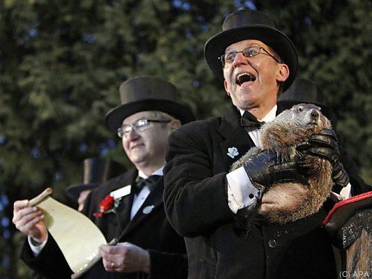 Punxsutawney Phil Punxsutawney Phil