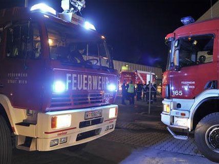 Ein Brand im Bezirk St. Pölten forderte Verletzte Ein Brand im Bezirk St. Pölten forderte Verletzte