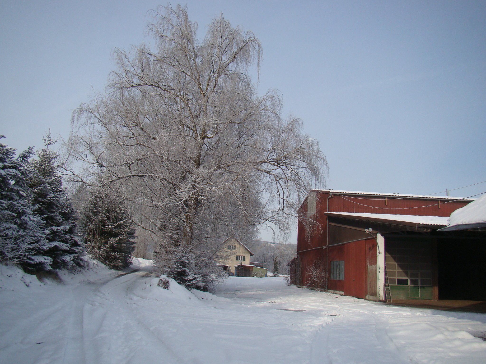 Der Gutshof Heidensand soll saniert und zum Wohle der Lustenauer Bevölkerung genutzt werden. Der Gutshof Heidensand soll saniert und zum Wohle der Lustenauer Bevölkerung genutzt werden.