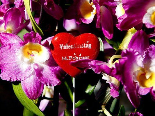 Zum Valentinstag wird längst nicht mehr nur der Partner beschenkt Zum Valentinstag wird längst nicht mehr nur der Partner beschenkt