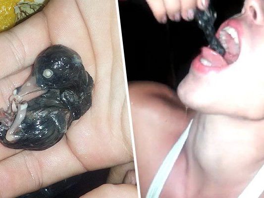 Jakob Kasimir will mit solchen Aktionen Diskussionen anheizen Jakob Kasimir will mit solchen Aktionen Diskussionen anheizen