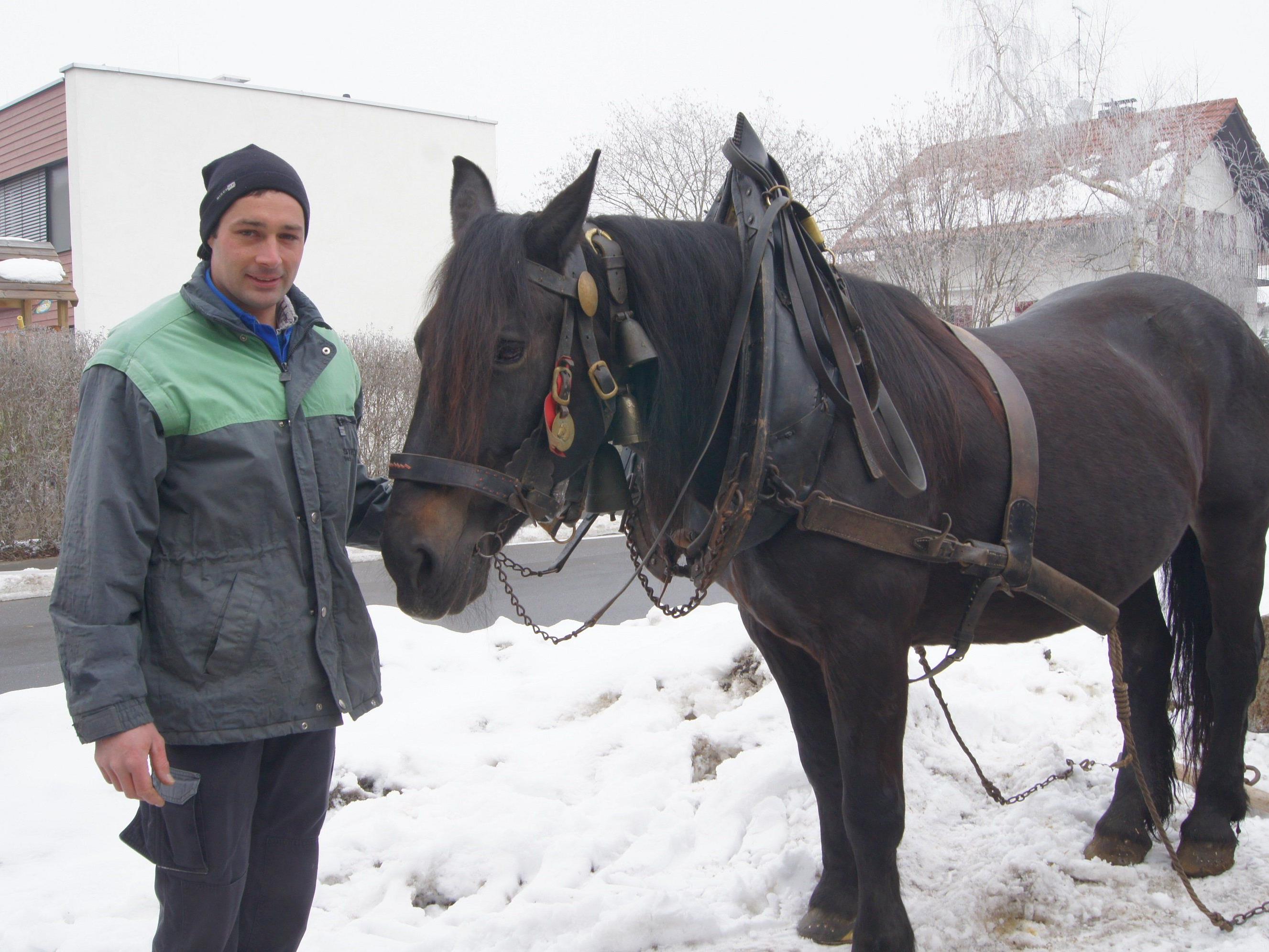 Mit Dorli, seiner Norikerstute, unterstützt Stefan Fitz die Schneeräumung in Lustenau umweltfreundlich.