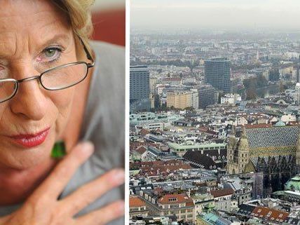 Stenzel will ganze Wiener City zur Begegnungszone machen Stenzel will ganze Wiener City zur Begegnungszone machen