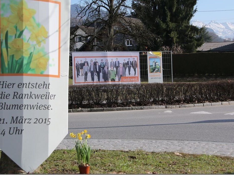 Genialer Schachzug der Volkspartei auf der Wahlkampf-Tour: Gelb statt Schwarz, eine Blumenwiese entsteht. Genialer Schachzug der Volkspartei auf der Wahlkampf-Tour: Gelb statt Schwarz, eine Blumenwiese entsteht.