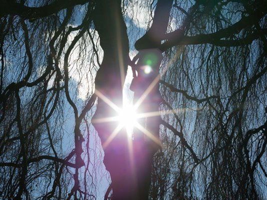 Ein milder März in Wien Ein milder März in Wien