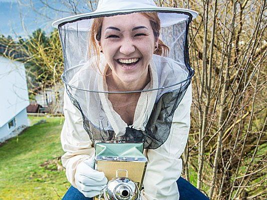 Die Zahl der Bienenvölker nimmt weltweit ab. Dazu meint Katharina: „Meiner Meinung nach, hat man schon zu lange gewartet.“ Die Zahl der Bienenvölker nimmt weltweit ab. Dazu meint Katharina: „Meiner Meinung nach, hat man schon zu lange gewartet.“