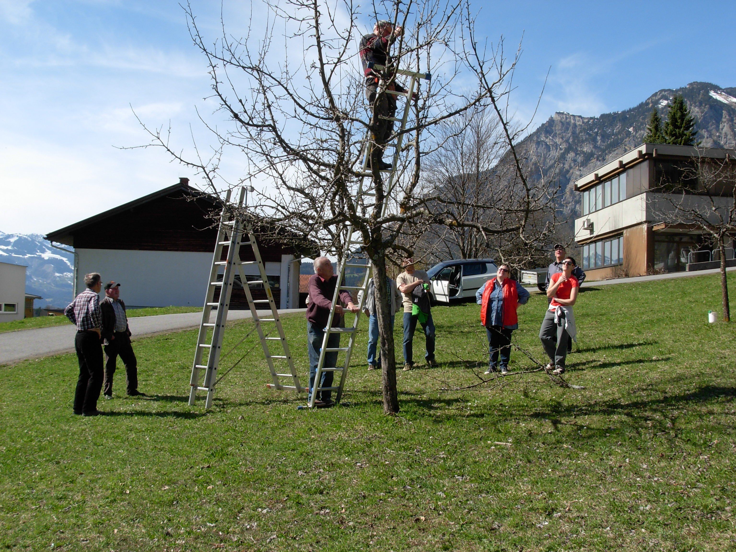 JHV Obst- und Gartenbauverein Braz JHV Obst- und Gartenbauverein Braz