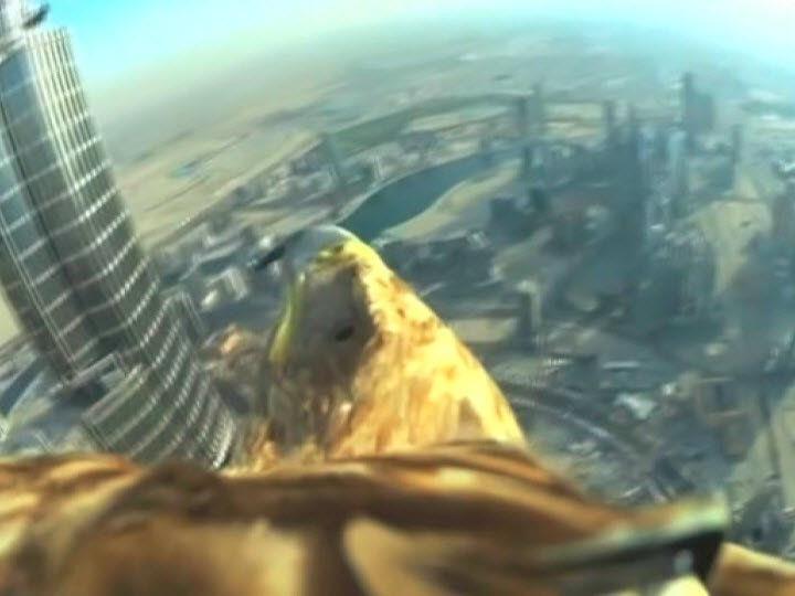 Ein Adler fliegt mit Kamera vom höchsten Gebäude der Welt.