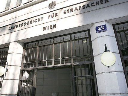 Über den Wiener IS-Heimkehrer wurde die U-Haft verhängt Über den Wiener IS-Heimkehrer wurde die U-Haft verhängt