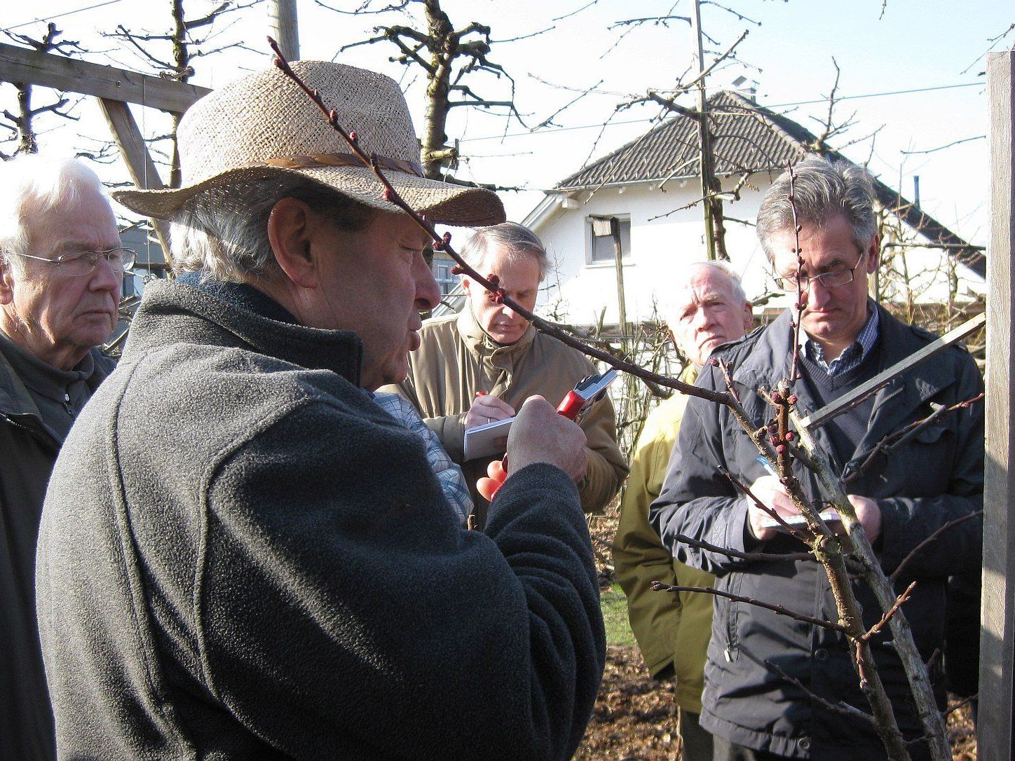 Der OGV Altach lädt zum Schnittkurs für Marillen- und Pfirsichbäume am kommenden Samstag, 7. März. Der OGV Altach lädt zum Schnittkurs für Marillen- und Pfirsichbäume am kommenden Samstag, 7. März.