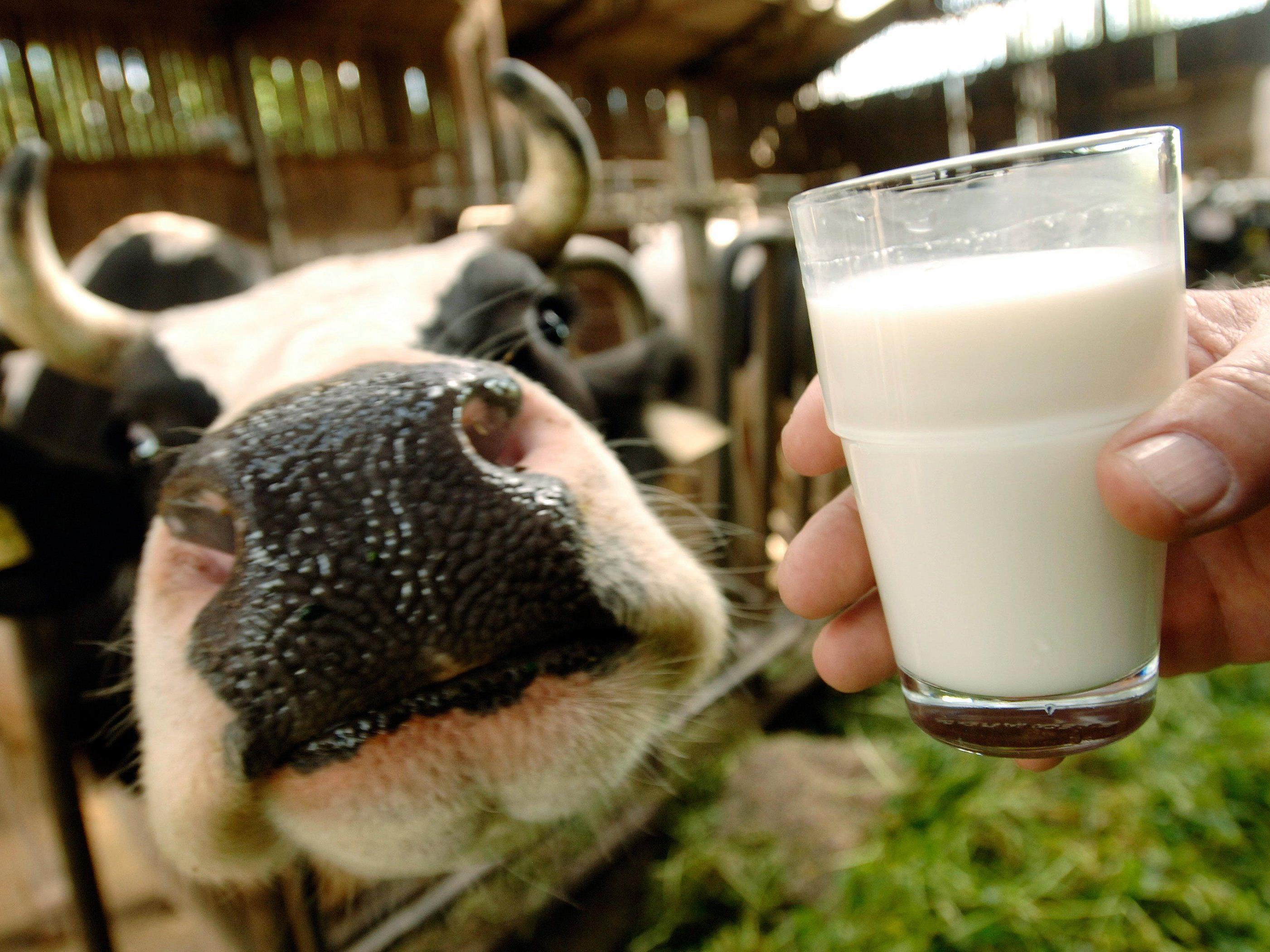 Vorsichtiger Optimismus vor Ende der Milchquote.