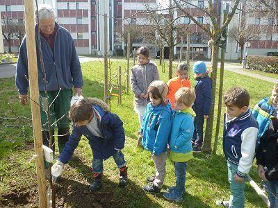 Interessierte Kinder pflanzen einen Baum