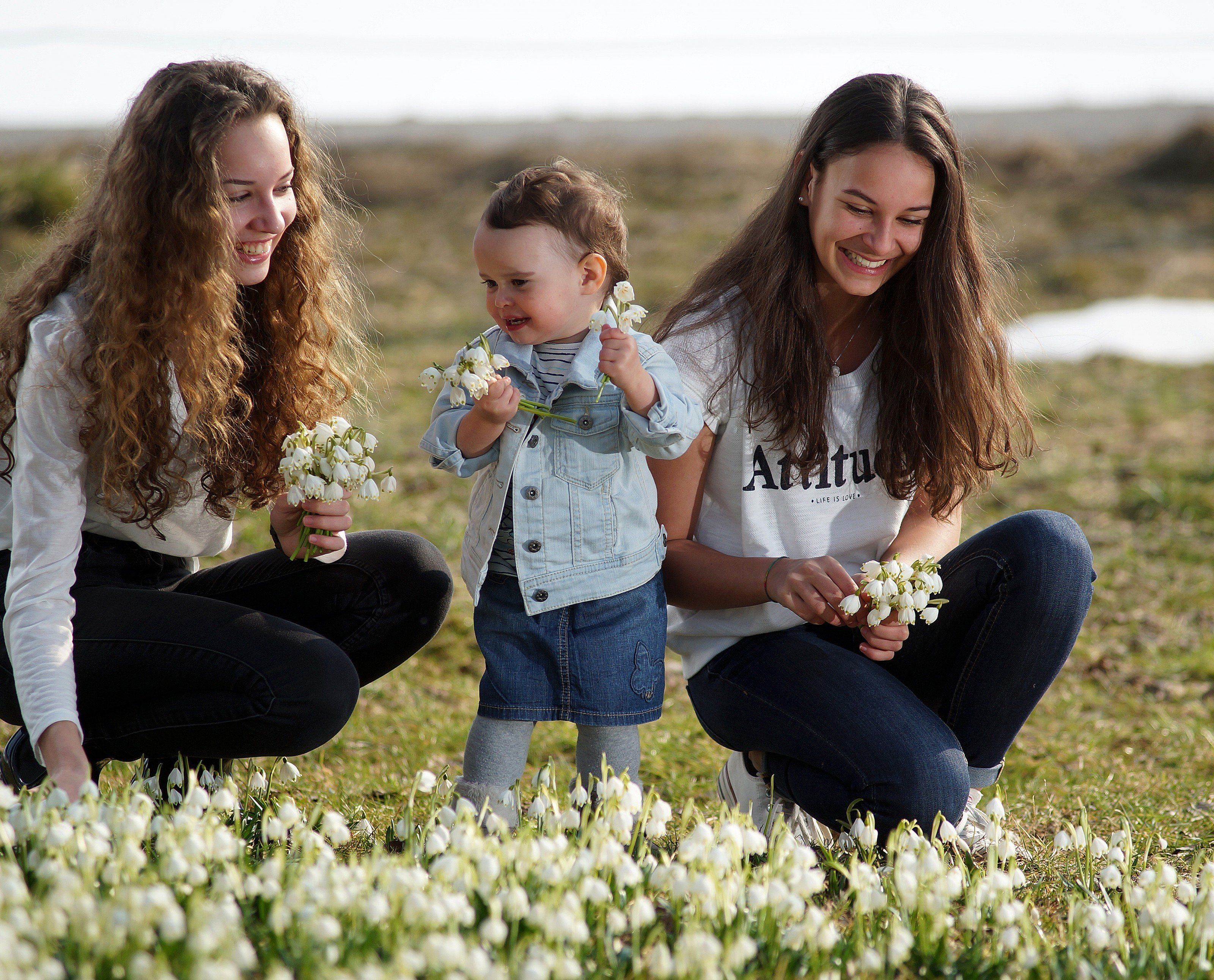 Ab Freitag sind Tag und Nacht wieder gleich lang. Ab Freitag sind Tag und Nacht wieder gleich lang.