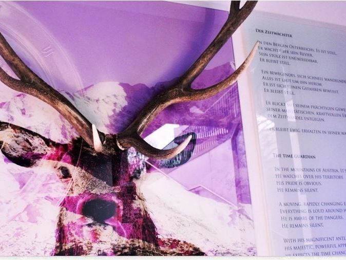 Ausdrucksstarke Vernissage „Zeitwächter-Unikate“ vom 22-jährigen Stefan Schönenberger. Ausdrucksstarke Vernissage „Zeitwächter-Unikate“ vom 22-jährigen Stefan Schönenberger.